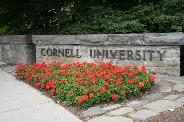 Entrance to Cornell University on College Avenue Bridge.