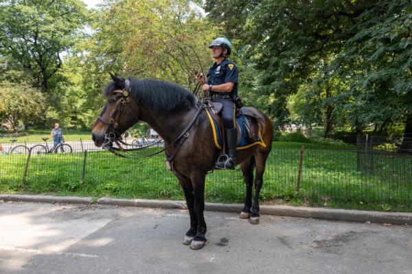 Cop on horse
