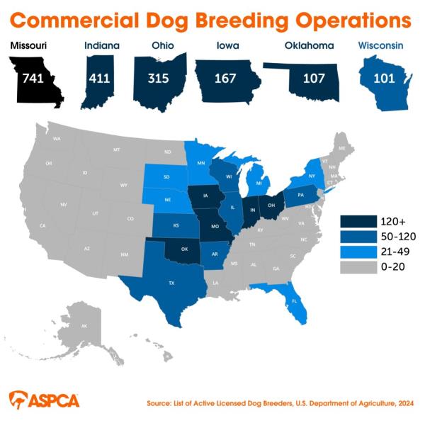A map shows the heaviest co<em></em>ncentrations of commercial dog breeding operations in the US