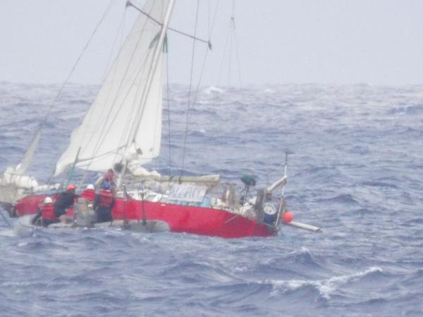 The United States Coast Guard and Navy rescued a mother and her 7-year-old child alo<em></em>ngside their pet tortoise and cat from a sailboat nearly 1,000 miles off the coast of Hawaii