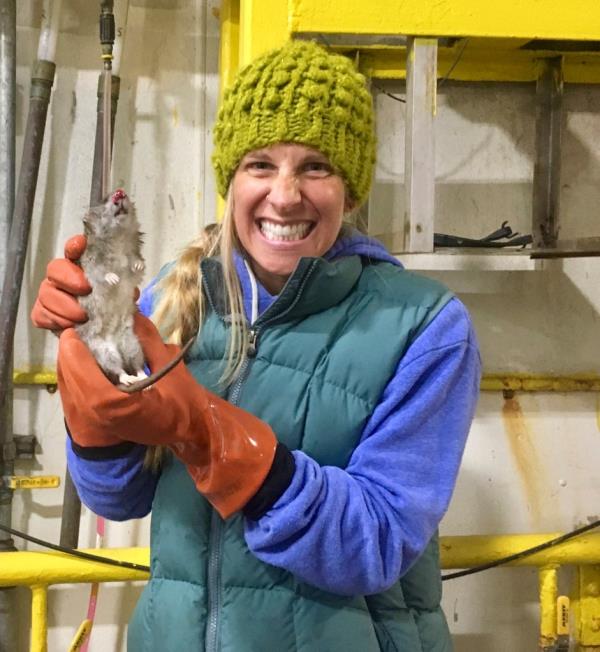 Lauren Divine, director of the Aleut Community of St. Paul Islandas ecosystem co<em></em>nservation office in Alaska, holds the last rat known to have been on St. Paul Island, after it was found dead