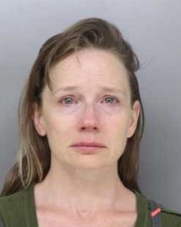 Nacrelli was hit with criminal child enticement, burglary and imperso<em></em>nating an officer for allegedly carrying out the demented scheme.