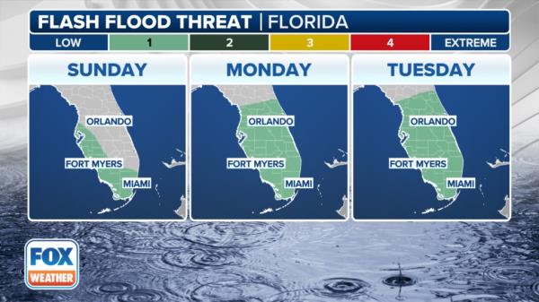 Map illustrating weather forecast for the Gulf of Mexico region
