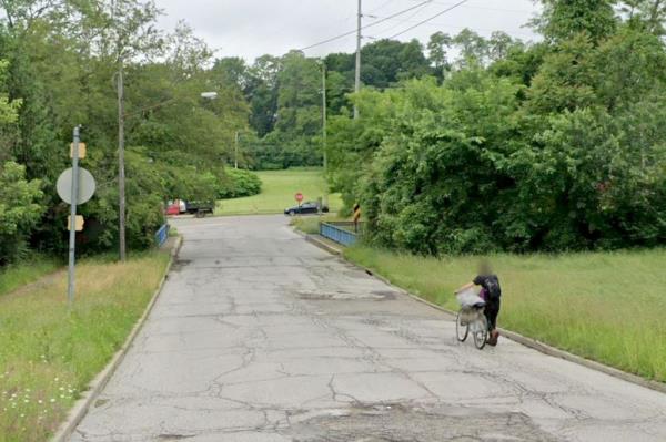 True crime fans claim to catch 'killer disposing of body' on Google Street View