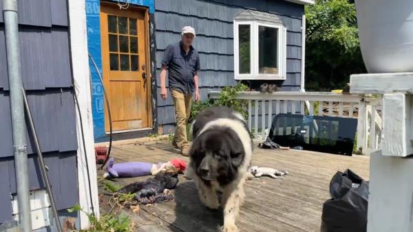 Edward Nugent with his family dog Minnie, who survived after being washed away in severe flooding Sunday evening