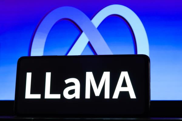 me<em></em>ta and Llama logo