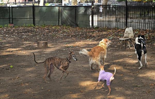 California members pay $120 per mo<em></em>nth to be part of the exclusive club. 