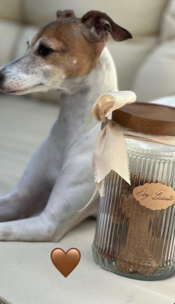 Markle's pal debuted dog biscuits that were seemingly sent from the Duchess.