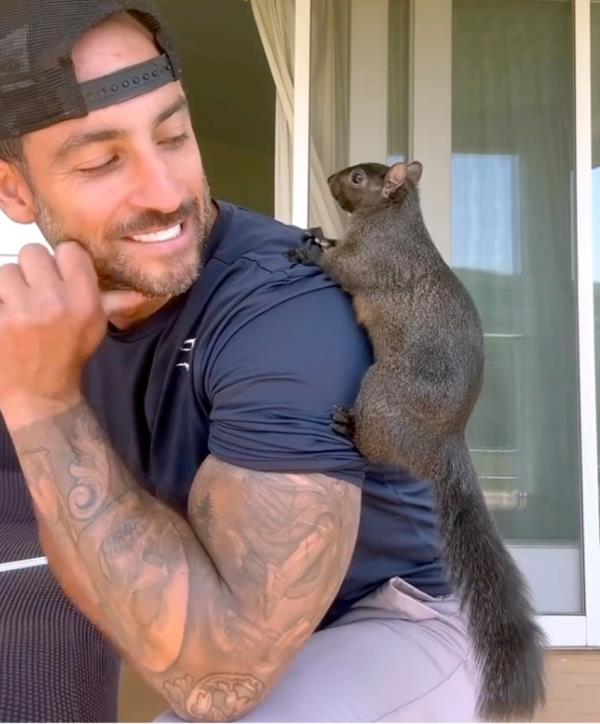 Mark Longo's beloved pet, Peanut, was euthanized.