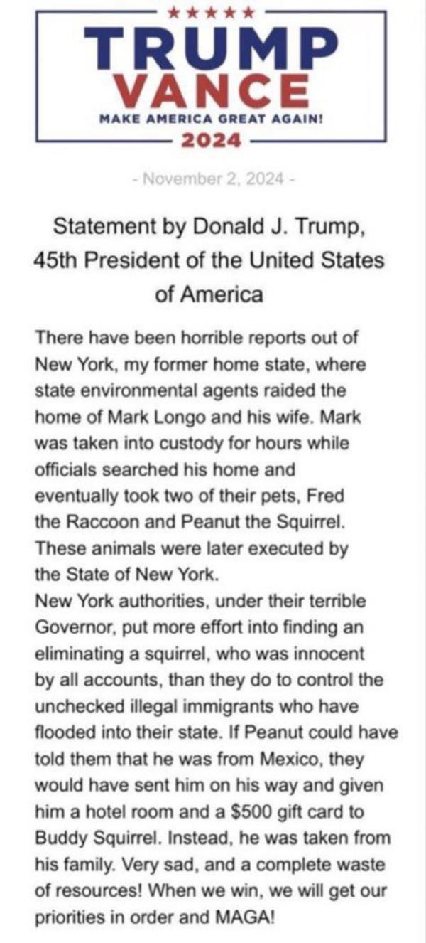 The bogus press release that appeared to be from Trump's campaign was first posted on X by Gentry Genvers.