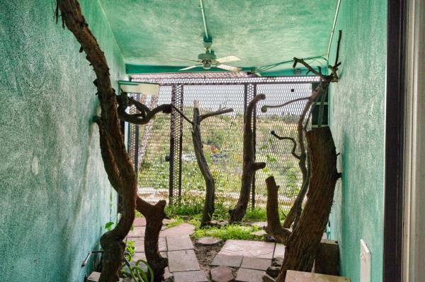 pee-wee herman los angeles home