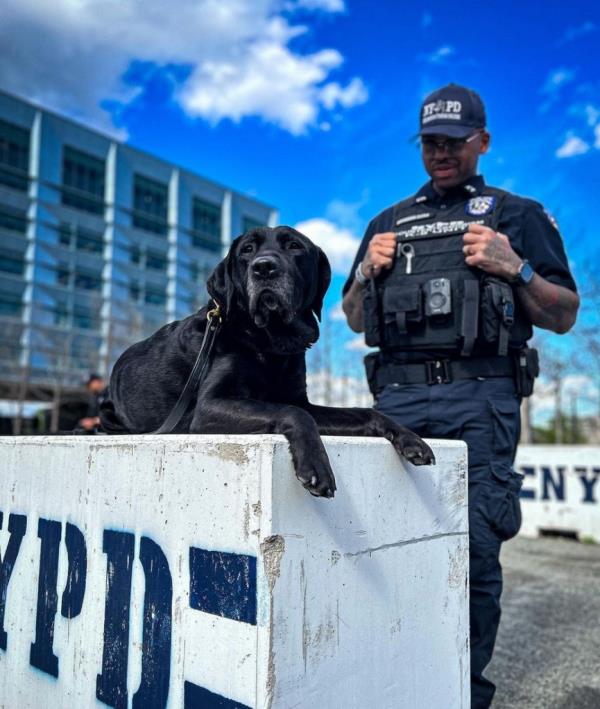 PO Jeffery Wickham with K9 Hugh