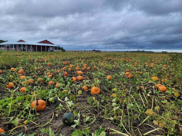 The young girl was at the Pumpkin Patch for nearly two hours.  