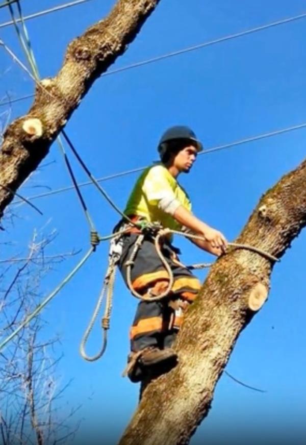 Clabo worked as an arborist before suffering from his heroin addiction.