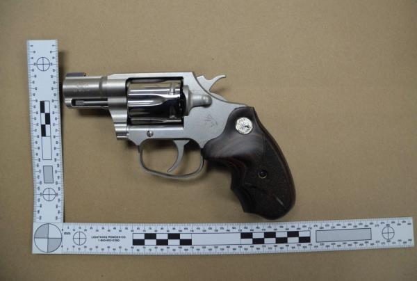 Biden was found guilty of lying a<em></em>bout his drug use when purchasing a gun.