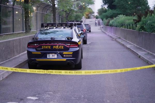 Manhattan park shooting. 