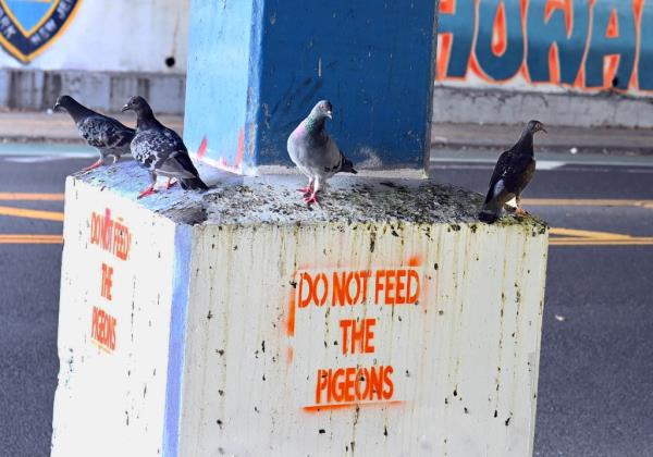 Pillar covered in bird crap.