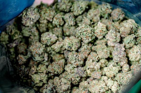 Marijuana use has been largely normalized across the country -- 24 states fully legalize it -- while 20 partially legalize it