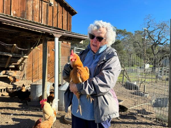 Ettamarie Peterson holds a chicken at her farm in Petaluma, Calif.