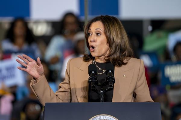 Vice President Kamala Harris speaks at a campaign rally at the James R Hallford Stadium in Clarkston, Georgia on Oct. 24, 2024.