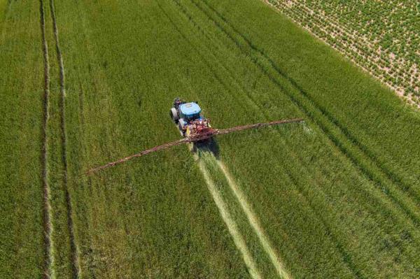 A tractor fertilizing a field of oats in spring.