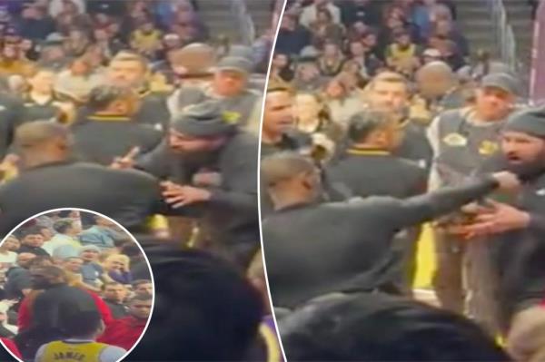 The fan touches LeBron James.