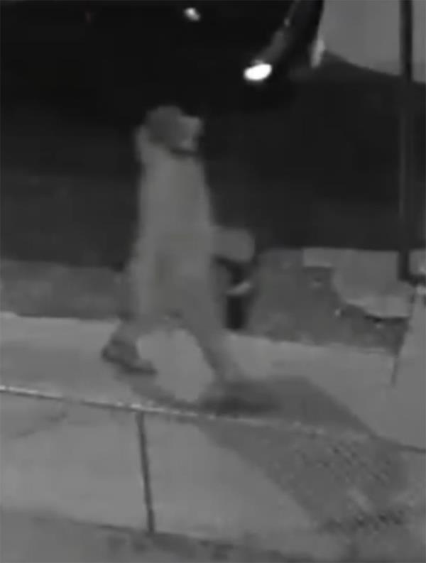 Prosecutors said at trial that surveillance footage showed the defendant leaving Canarsie Park on April 9 carrying a suitcase that he used to transport Brandy Odom’s torso. 