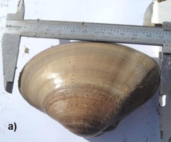 Charlotte Russ was on a family trip to Pismo Beach, known as the 