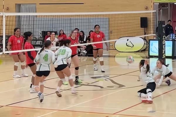 Volleyball players on Canadian women's teams