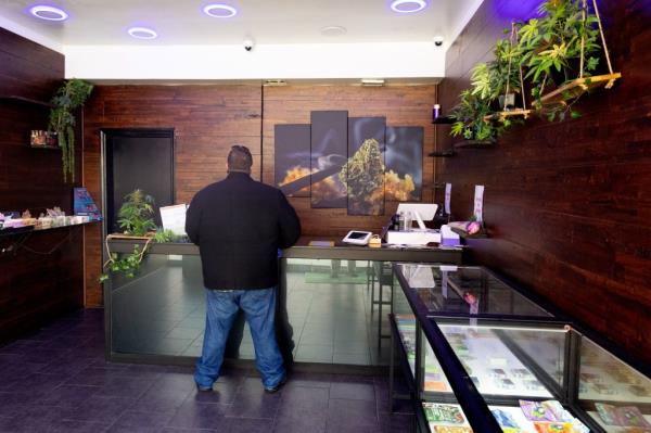 A man standing at the counter inside the Gelato store on 3rd Ave in Bay Ridge, Brooklyn, known for illegal marijuana sales.