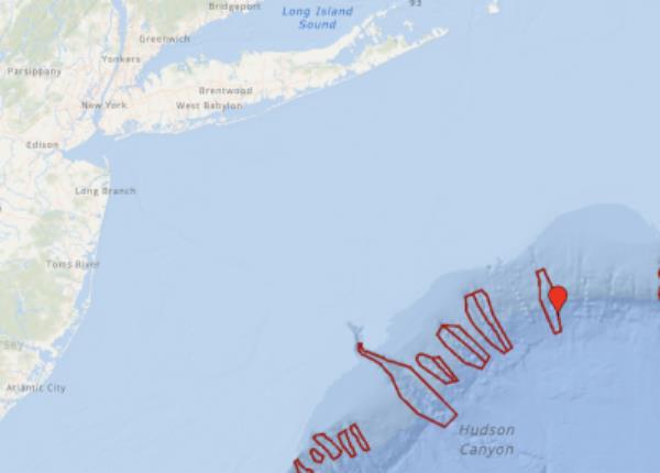 North Atlantic right whales have been seen co<em></em>ngregating in canyons south of Long Island and east of the Jersey Shore.