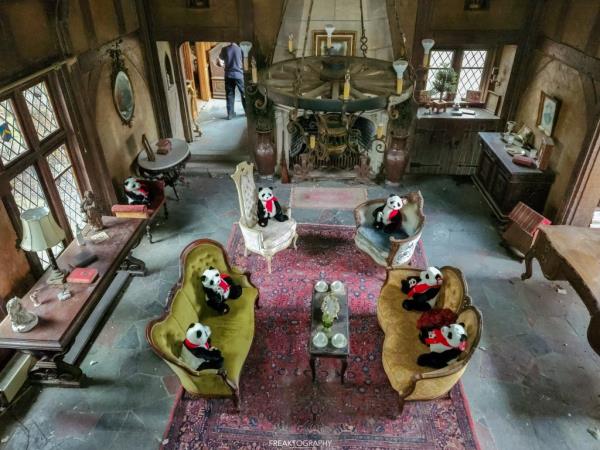 Giant panda bears are seen weirdly placed on the chairs.