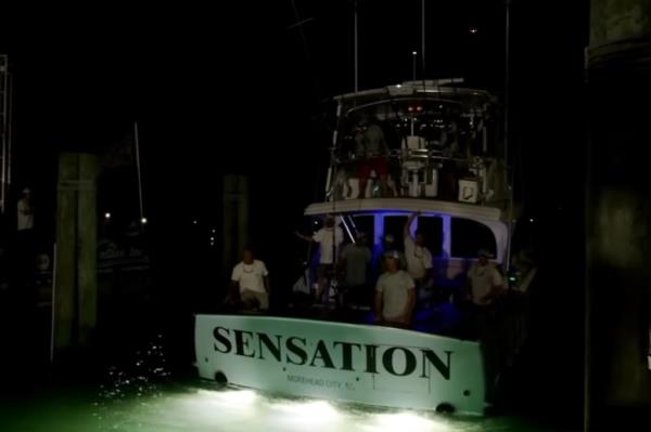 271 boats competed in this years The Big Rock Blue Marlin Tournament in North Carolina.