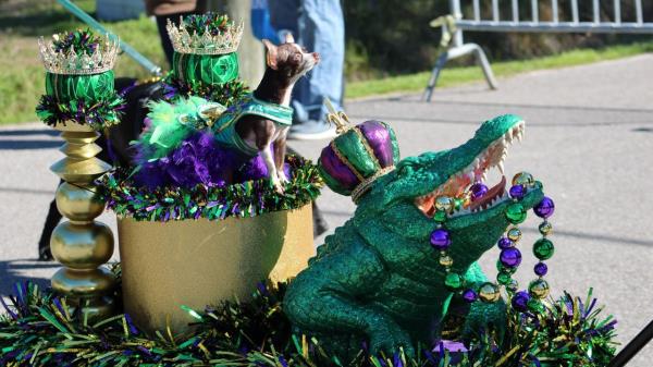 The parade, spo<em></em>nsored by the Dauphin Island Chamber of Commerce, benefits the Animal Rescue Foundation