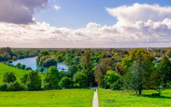 Richmond Terrace Field