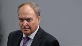 West ‘o<em></em>nly making things worse’ for Ukraine – Russian ambassador