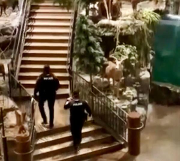 Bass Pro Shop Leeds Incident Jan. 4, 2024