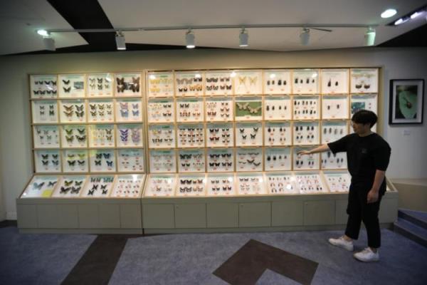 Insect Museum in Yangpyeong, Gyeo<em></em>nggi Province (Yangpyeong County)