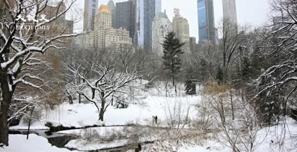Christmas Day Winter Storm Blankets U.S. Plains with Snow, Rain Expected in Central and Eastern Regions