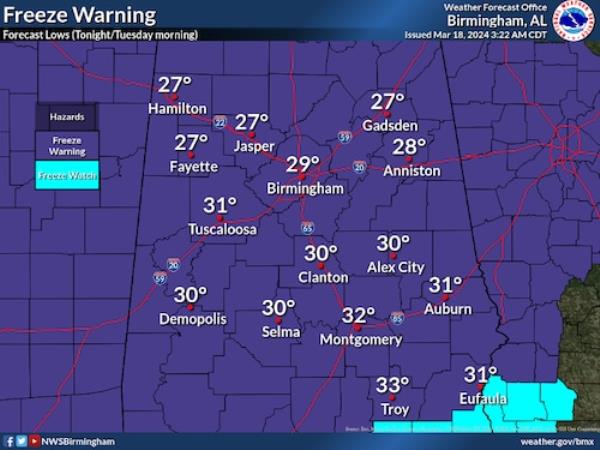 Central Alabama freeze