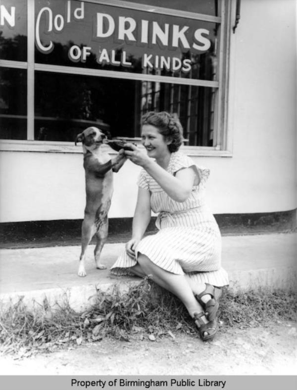 Dog drinks Coca-Cola from a bottle