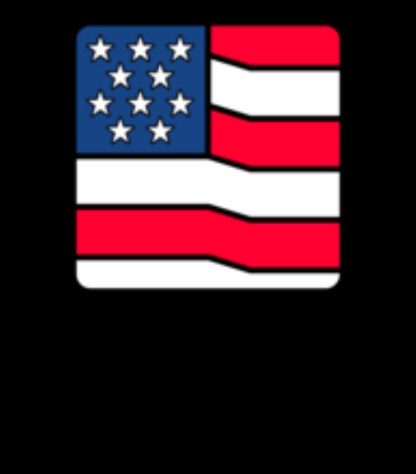 Square with rounded edges. Fill of square looks like American flag. Coming off the sides of the square are lines with unfilled circles at end. Words underneath: CHIPS for AMERICA