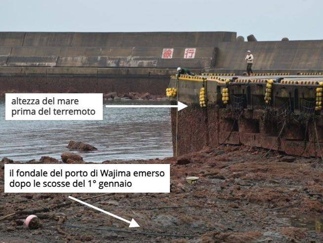 the earthquake raised the ground by 3-4 metres, ports unusable – breaking latest news